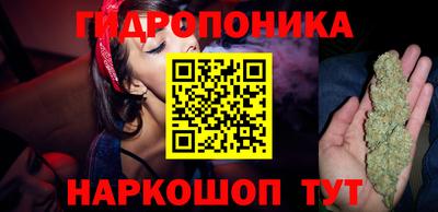 spice Гусиноозёрск