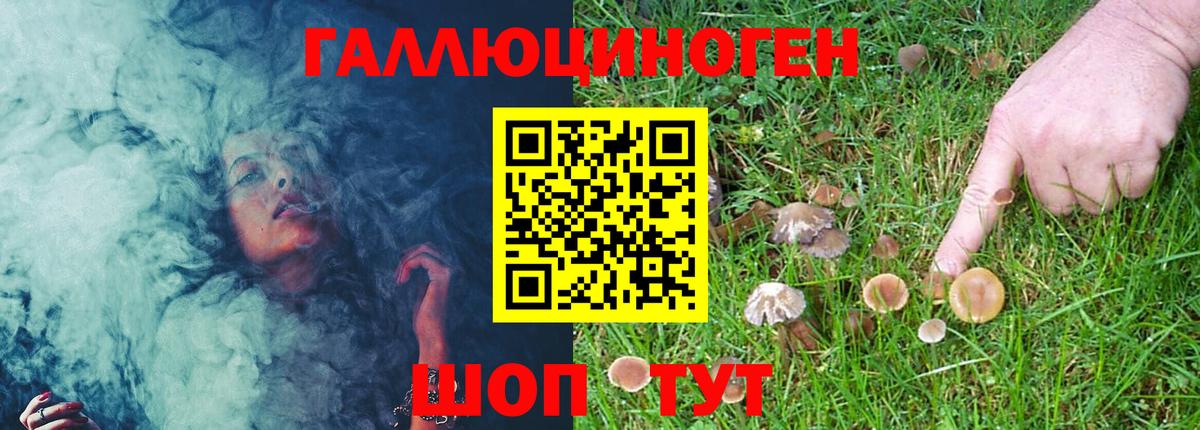 Малоярославец  Галлюциногенные грибы Psilocybe  Вход с VPN 